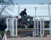 Elvira Tosc Tour2013- S5 1916 : Arezzo, Cavalli d'Italia, Elvira B, Toscana Tour 2013, foto di Stefano Secchi ©